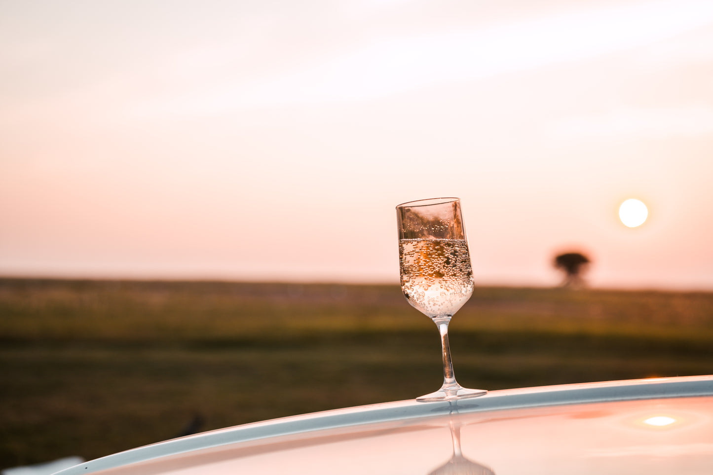 Clear Wine Glass (385ml)